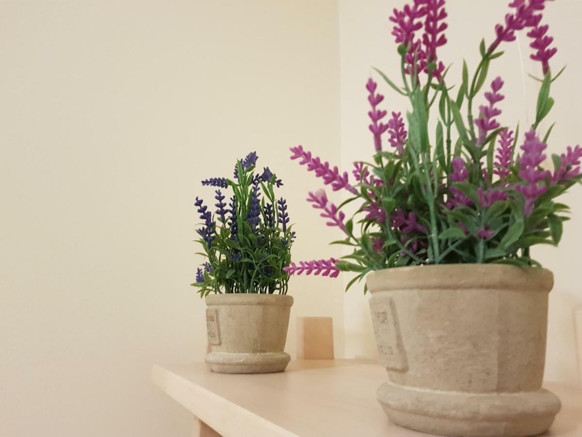 Stirling Central Apartment Eksteriør billede